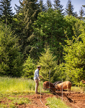 Load image into Gallery viewer, Box o' Pork (Subscription)