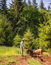 Load image into Gallery viewer, Quarter Hog Box