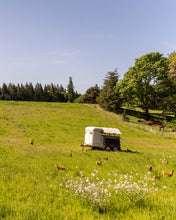 Load image into Gallery viewer, Box o' Chicken