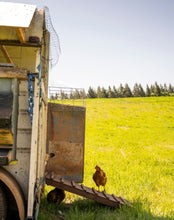 Load image into Gallery viewer, Box o' Chicken